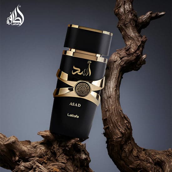 Asad by Lattafa Perfumes