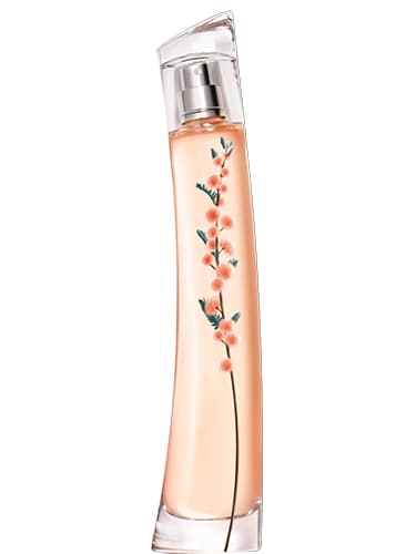 Flower by Kenzo Ikebana Mimosa by Kenzo