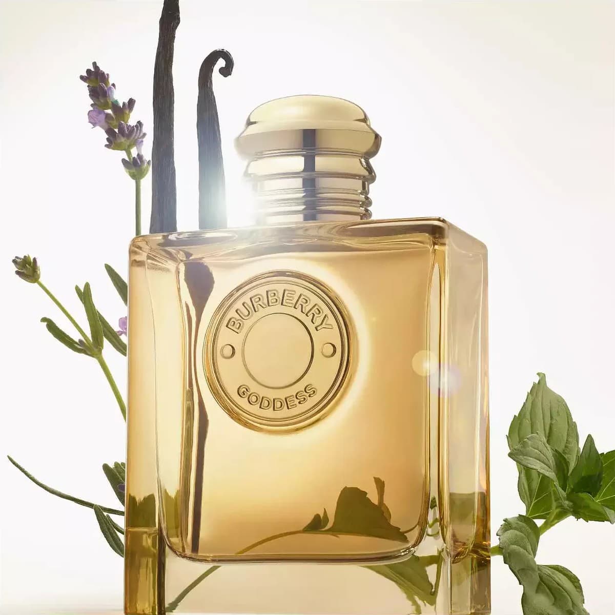 Goddess Intense by Burberry