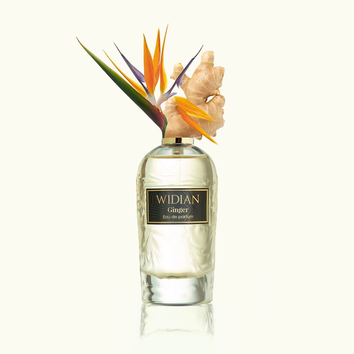 Rose Arabia Ginger by Widian