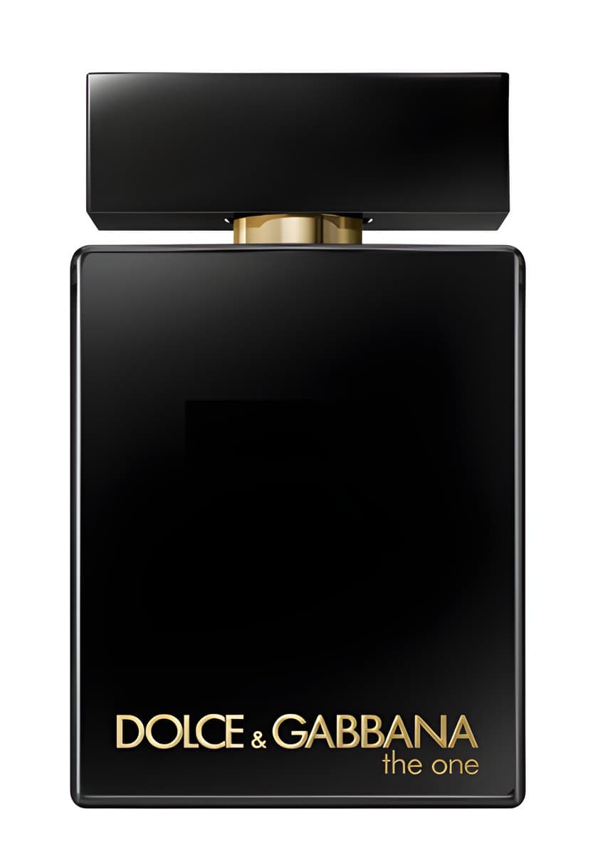 The One for Men Eau de Parfum Intense by Dolce & Gabbana