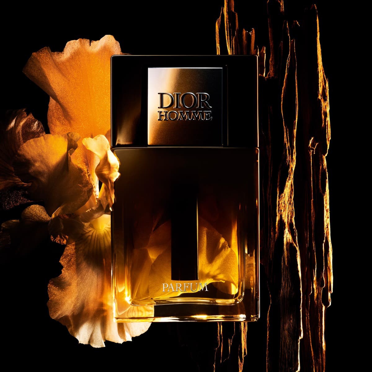 Dior Homme Parfum Dior by Dior