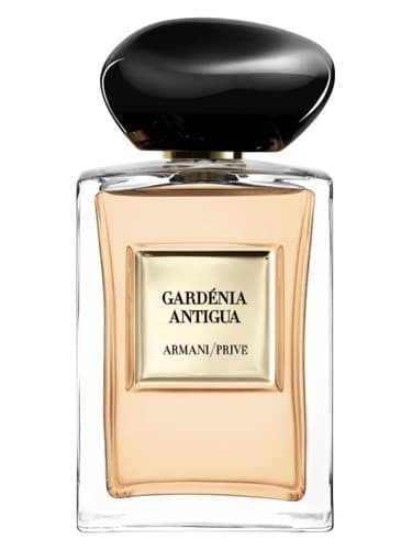 Armani Privé Gardénia Antigua by Giorgio Armani