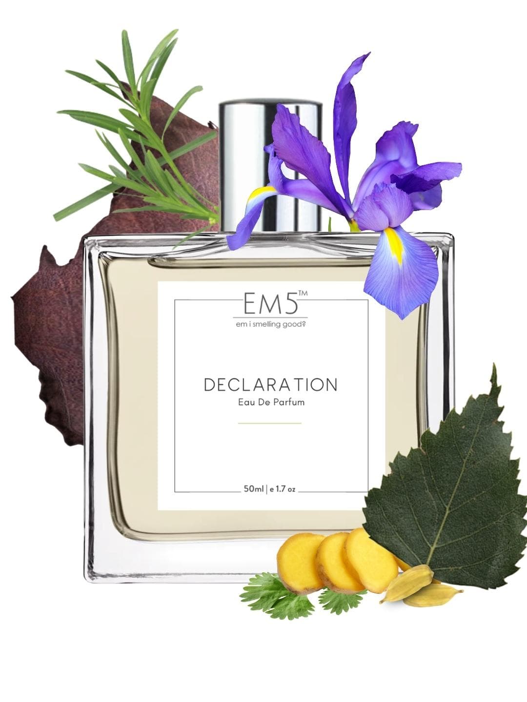 Declaration by House of EM5