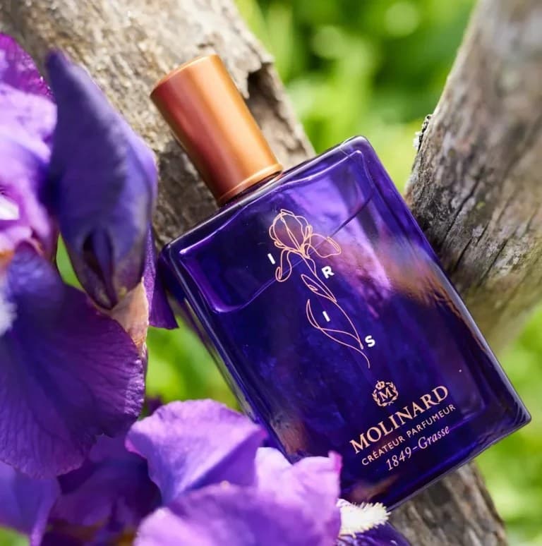Noisette Iris by Jul et Mad