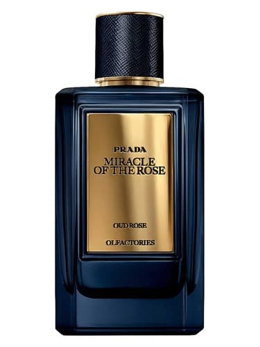 Prada Miracle of the Rose by Prada
