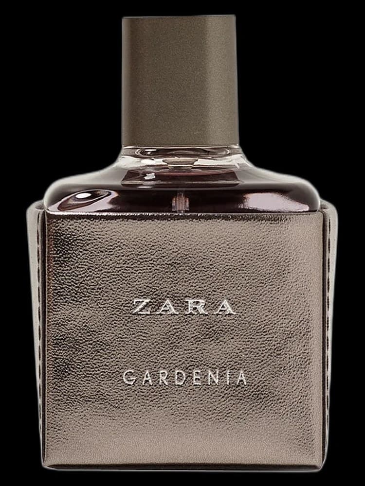 Gardenia by Zara