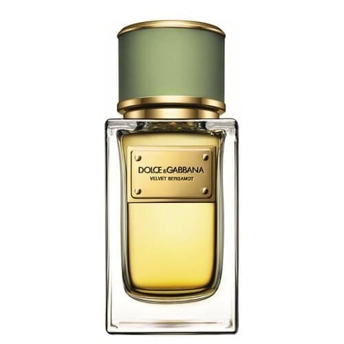 Velvet Bergamot by Dolce & Gabbana