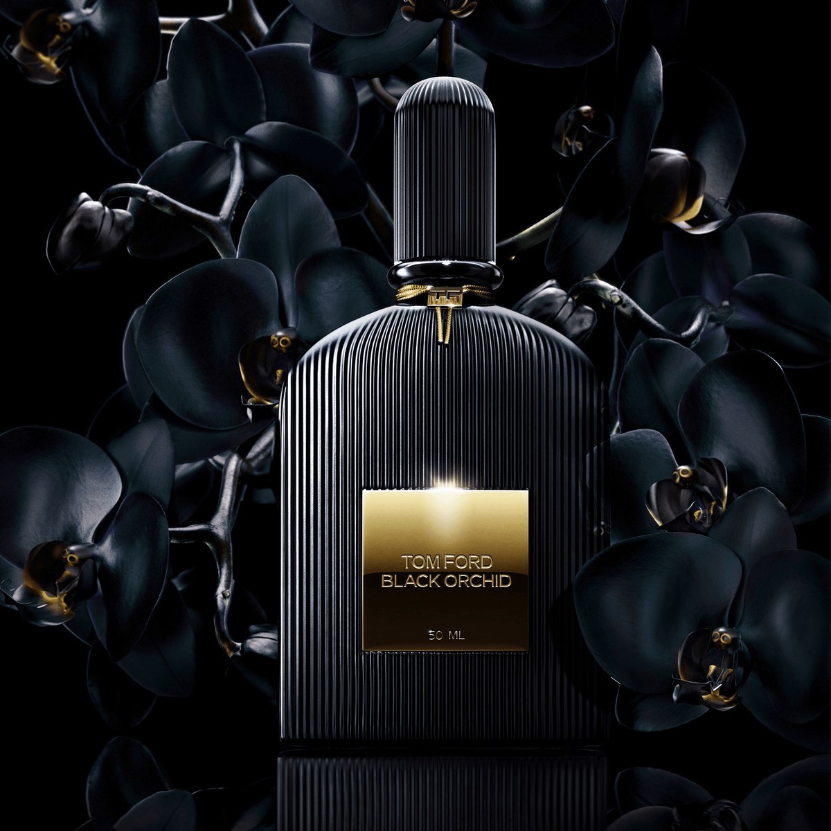 Black Orchid by Tom Ford