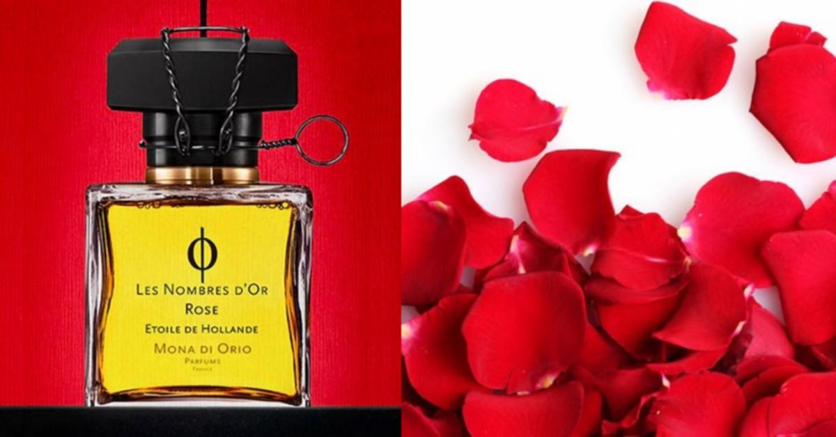 Rose Etoile de Hollande by Mona di Orio