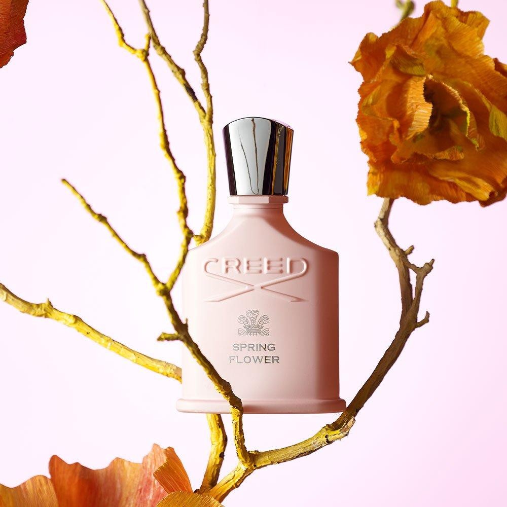 Spring Flower by Creed
