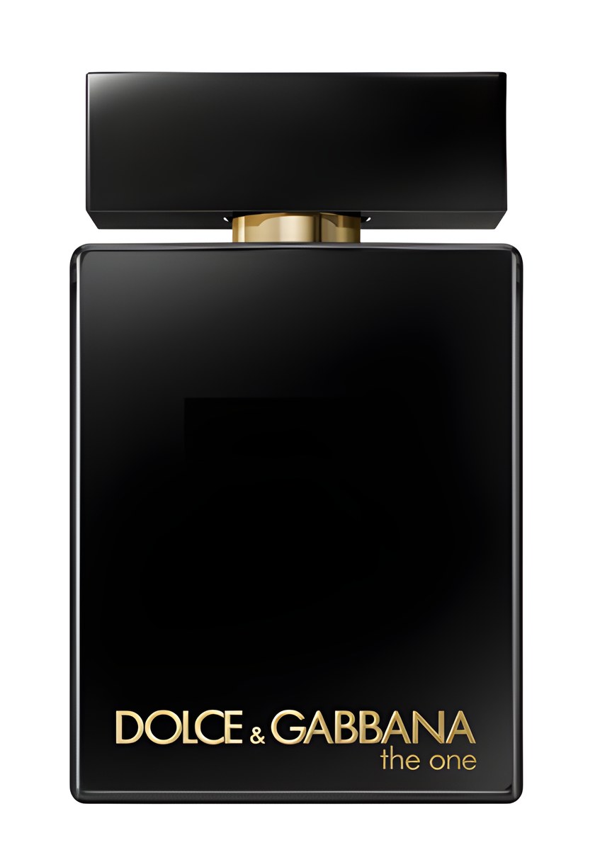 The One for Men Eau de Parfum Intense by Dolce & Gabbana