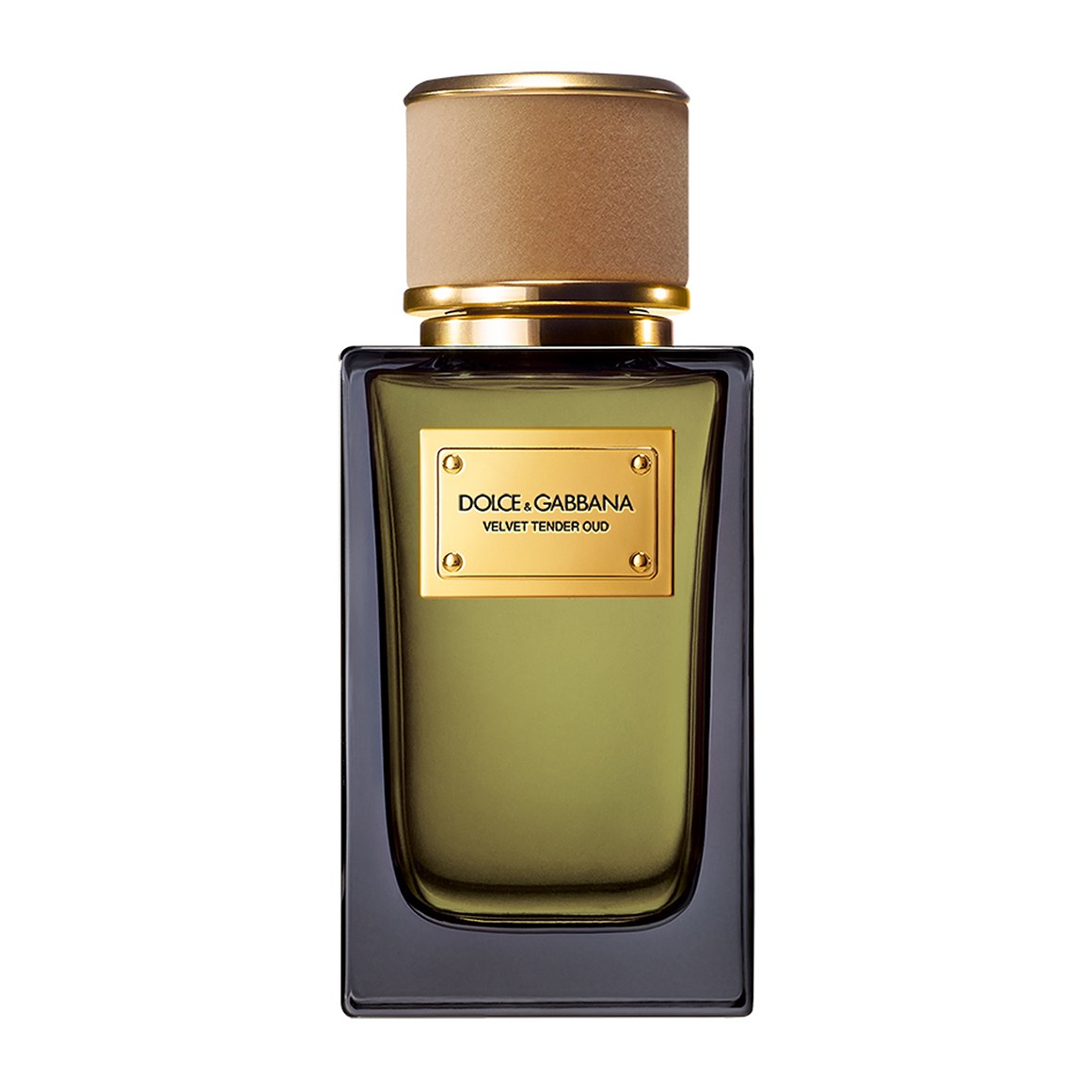 Velvet Tender Oud by Dolce & Gabbana