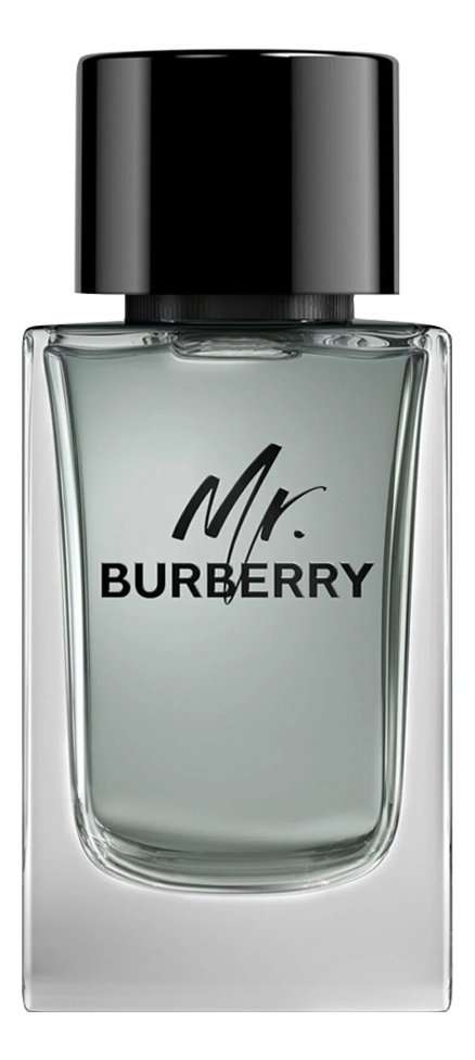 Mr Burberry by Burberry