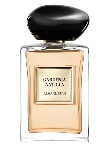 Armani Privé Gardénia Antigua by Giorgio Armani