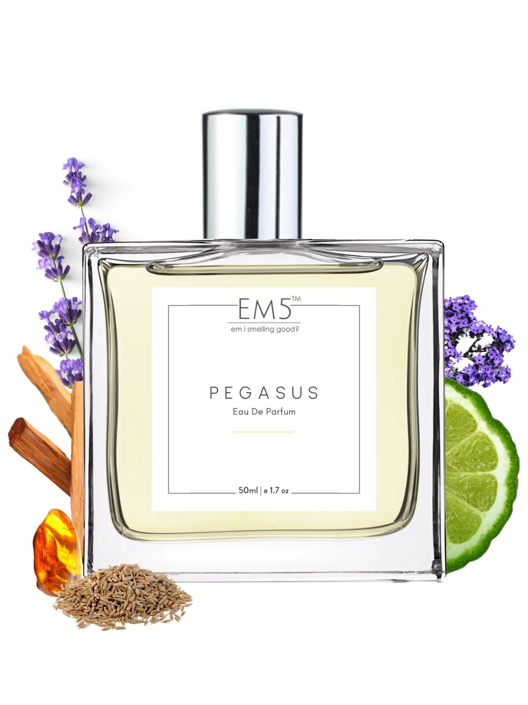 Pegasus by House of EM5