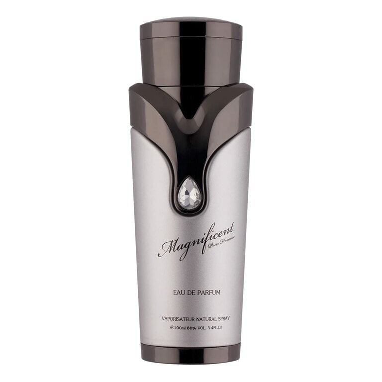 Magnificent Pour Homme by Armaf