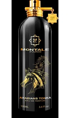 Arabians Tonka by Montale